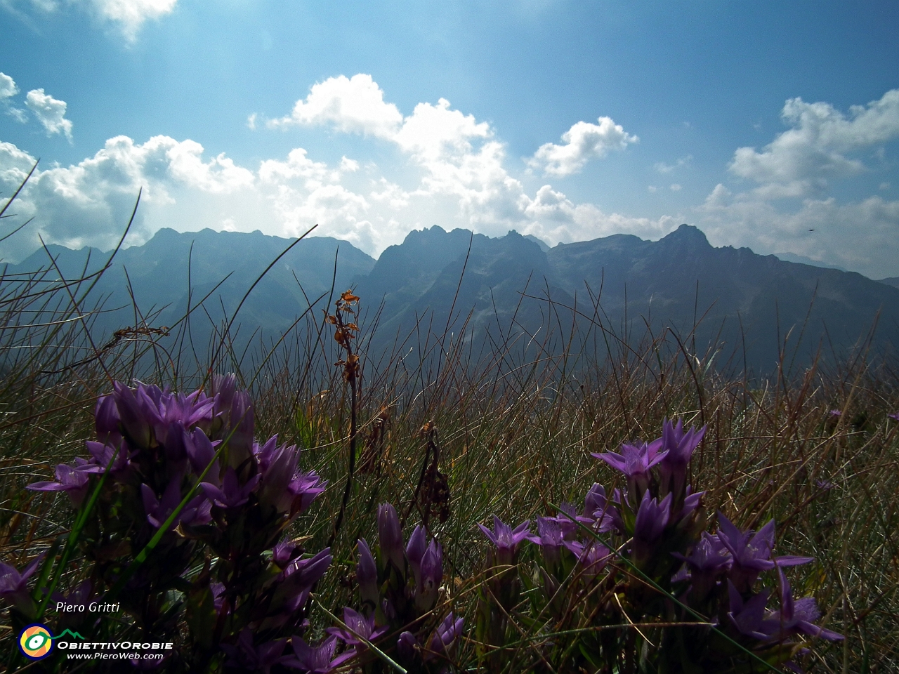 32 Vista verso il Pizzo del Becco e i Corni di Sardegnana.JPG